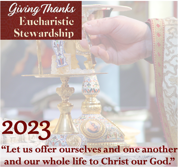 Stewardship 2023